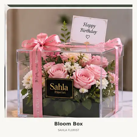 Bloom Box Lombok Utara